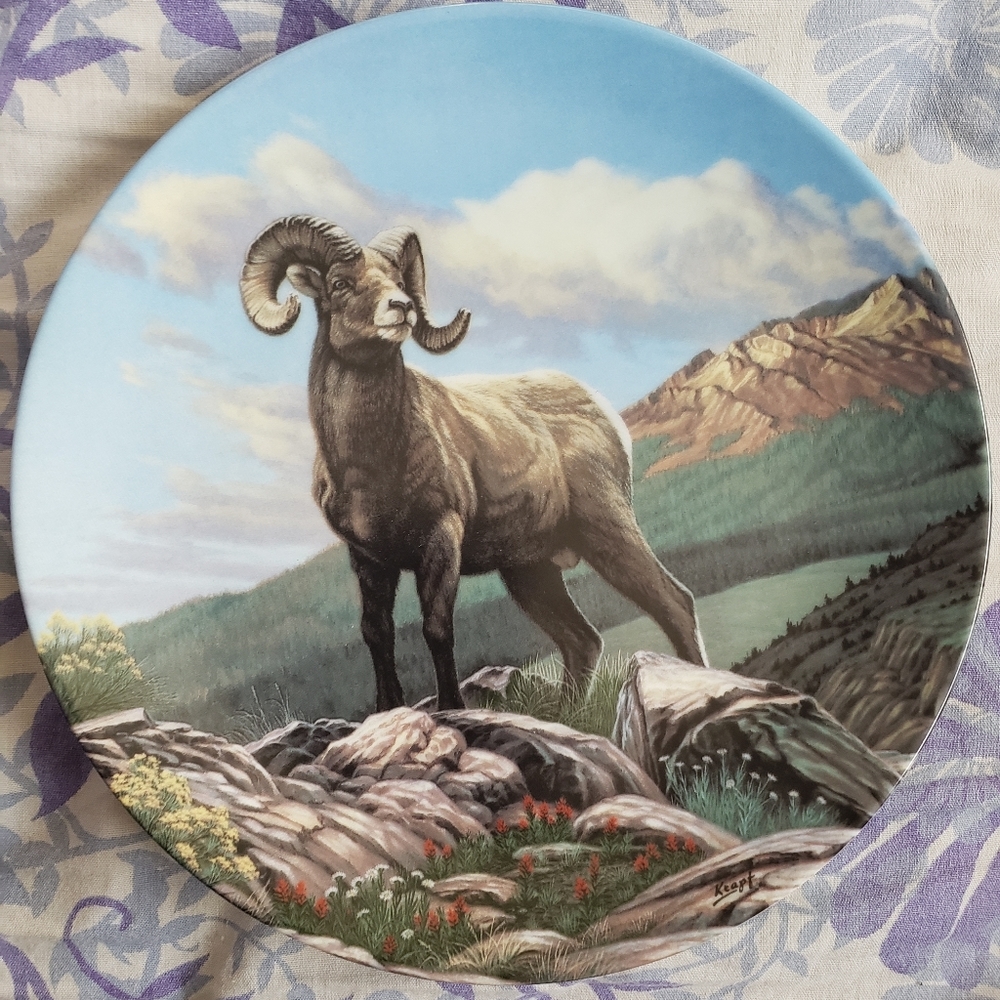 The Big Horn Sheep Wild And Free Dominion Plate